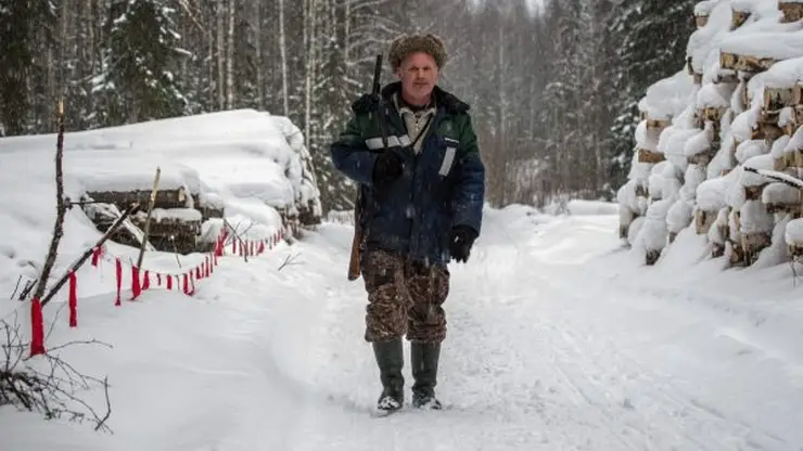 За год в Красноярском крае выявлено 1 226 нарушений правил охоты