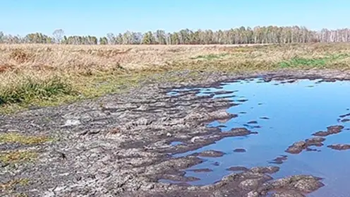 Арендатор земельного участка в Шушенском районе заплатит штраф за загрязнение почвы бактериями