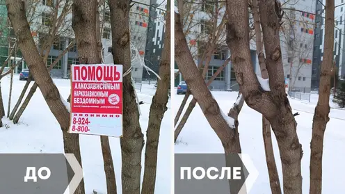39 табличек с незаконной рекламой появились на улицах Центрального района за одну ночь