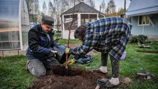 Садоводы Красноярского края могут получить гранты до двух миллионов рублей