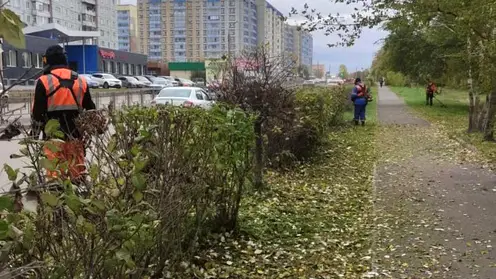 В Красноярске будут косить траву до появления снежного покрова