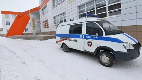 Детские сады и школы Красноярска не будут отправлять на дистанционку