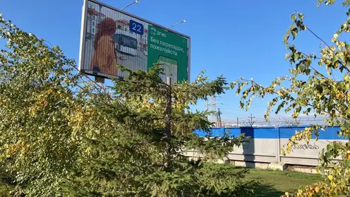 В Красноярске на улице Молокова ради рекламного щита варварски срезали деревья 