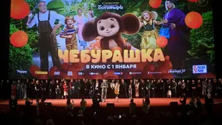 Российская комедия «Чебурашка» стала самой кассовой в истории отечественного проката