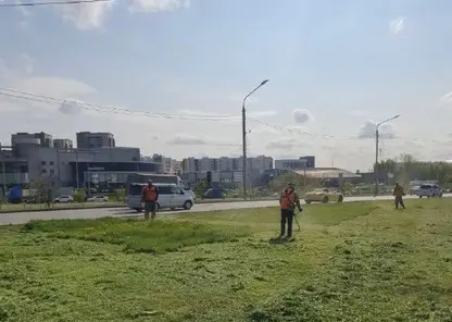 В Красноярске приводят в порядок газоны