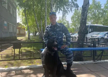 Полицейская собака Рич помогла раскрыть кражу двух баранов в Алтайском крае