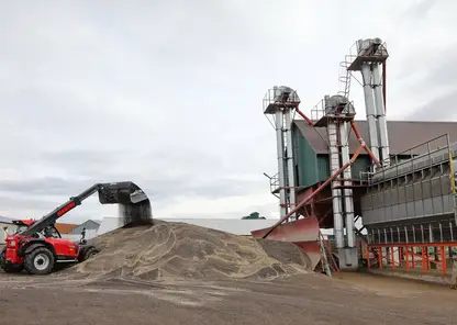 В Красноярском крае на производство зерновых и масличных направили 500 млн рублей