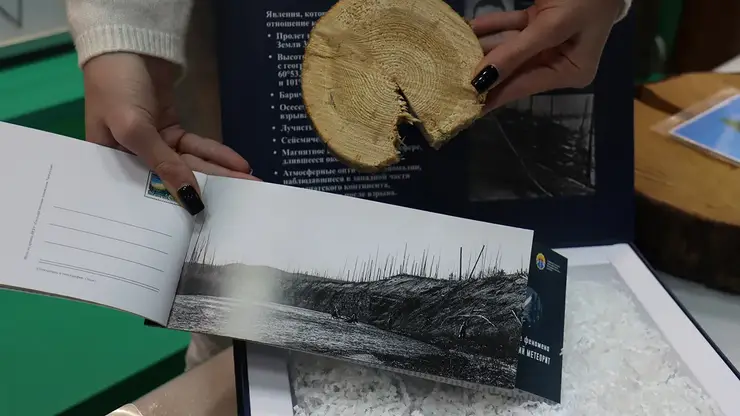 В Музей леса Красноярского края привезли спил дерева из эпицентра падения Тунгусского метеорита