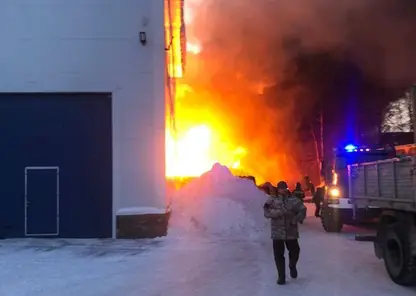 Прокуратура Новосибирской области организовала проверку по факту пожара на складе в Новосибирске