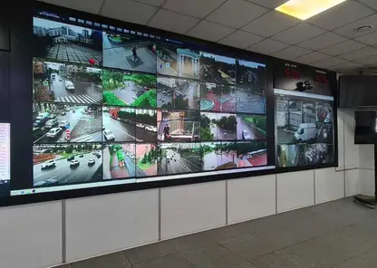 В Красноярске на несанкционированных свалках установят 20 камер видеонаблюдения