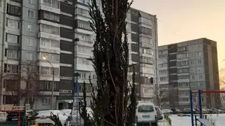 Жители Красноярска жалуются на ужасное украшение дворов