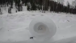 В Кузбассе в заповеднике «Кузнецкий Алатау» природа создала снежные рулоны