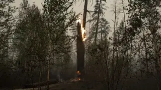 В Якутии число пожаров близится к 100