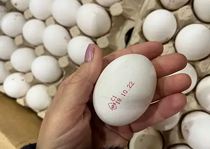 Из Красноярского края в Монголию отправили более 300 тысяч куриных яиц