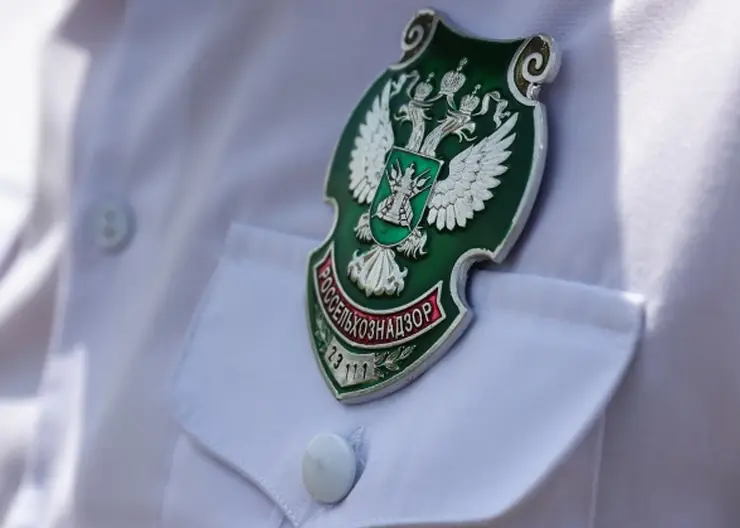 В Кемеровской области воспитанники детсада ели запрещенные продукты