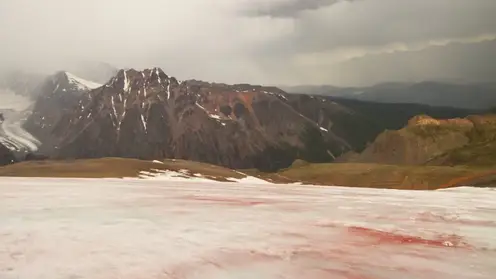 Экспедиторы томского университета обнаружили кроваво-красный ледник на Алтае