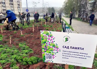 В Хабаровском крае в этом году вновь высадят «Сады памяти»