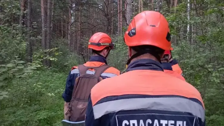 В Красноярском крае идут поиски ушедшей в лес 95-летней пенсионерки
