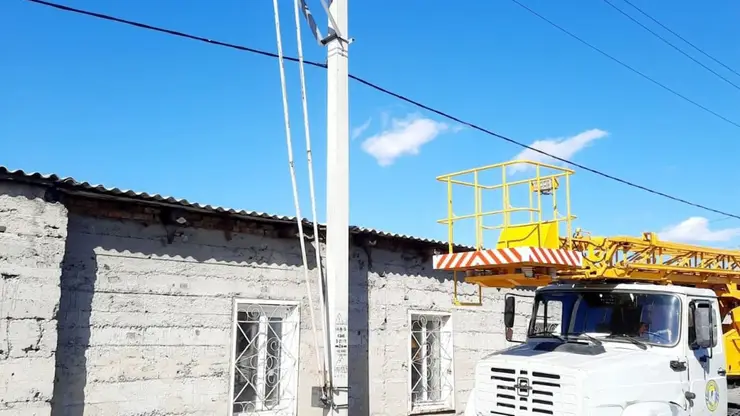 В Кемеровской области сорока оставила дома без электричества 
