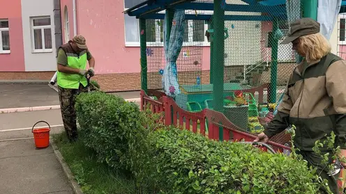 Волонтёры РУСАЛа продолжают озеленять территорию Советского района Красноярска