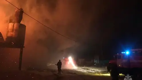Пожарные из Алтайского края под покровом ночи тушили огонь в деревообрабатывающем цехе