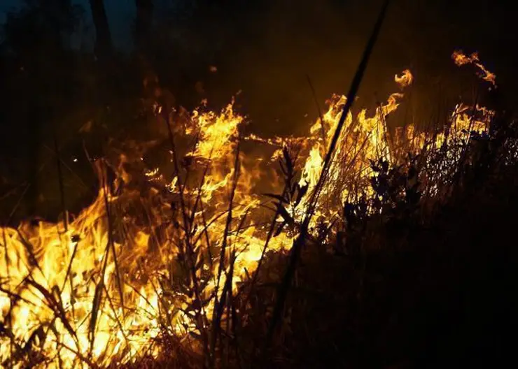 В Красноярском крае горят 17,5 тыс. гектаров леса