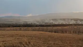 В Красноярском крае неизвестные подожгли сухую траву