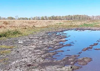 Арендатор земельного участка в Шушенском районе заплатит штраф за загрязнение почвы бактериями