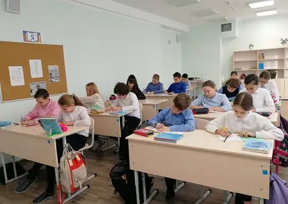 В Красноярске более 60 тысяч школьников напишут Всероссийские проверочные работы