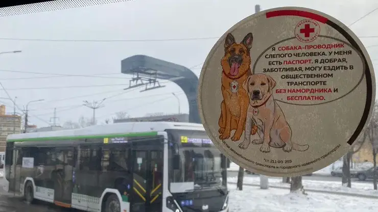 В автобусах Красноярска появились наклейки, призывающие с пониманием относиться к людям с особенностями здоровья