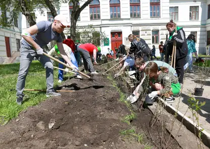Волонтёрская акция «Зелёная волна» прошла в нескольких районах Красноярска