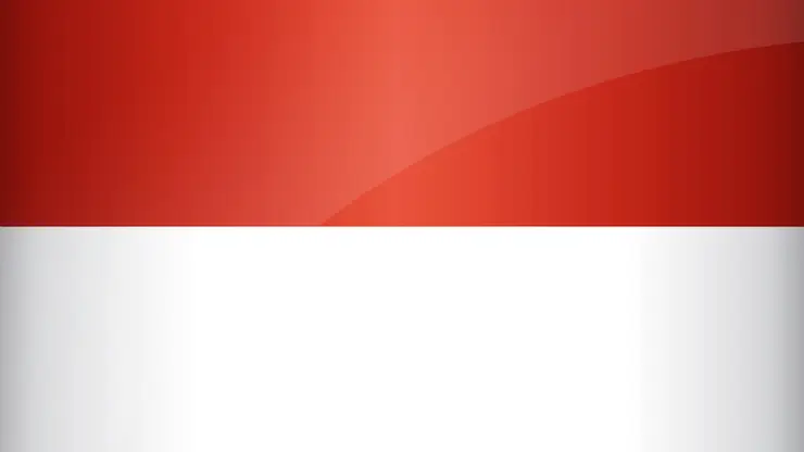 Индонезийцы выбрали название для новой столицы