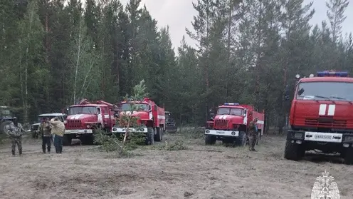 В Алтайском крае разгорелся лесной пожар на площади 720 га