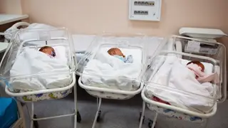 256 малышей родилось в Красноярске в первый осенний месяц