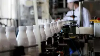 В Красноярском крае «Млада» оспаривает действия Россельхознадзора по итогам проверки качества молочной продукции