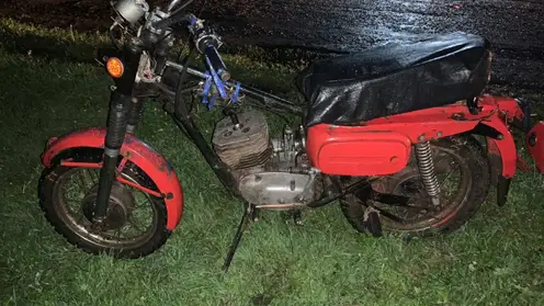 В Красноярском крае 14-летний подросток на мотоцикле сбил корову