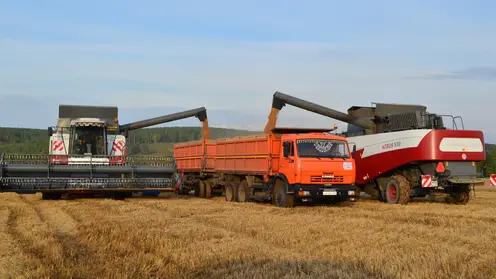 В Красноярске на Дне урожая подвели итоги сельскохозяйственного сезона в Красноярском крае