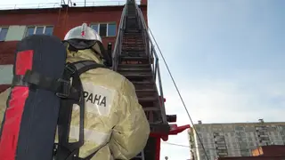 97 пожаров, перевернутая лодка на Енисее и 18 ДТП: в краевом МЧС рассказали об итогах работы за неделю