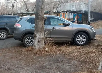 В центре Красноярска усилят борьбу с парковкой на газонах