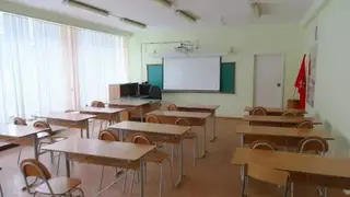 В Красноярском крае 9-летний ученик подрался с учительницей