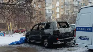 Красноярец хотел сжечь машину нового кавалера бывшей девушки, но перепутал автомобиль