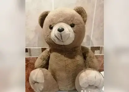 За 2 млн продают медведя из СССР в Иркутске 