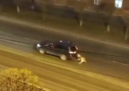 Красноярка привязала больную собаку к машине и поволокла ее по дороге. Видео