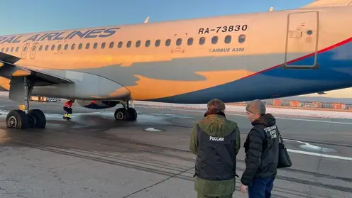 В Иркутске пассажирский самолет экстренно приземлился в аэропорту