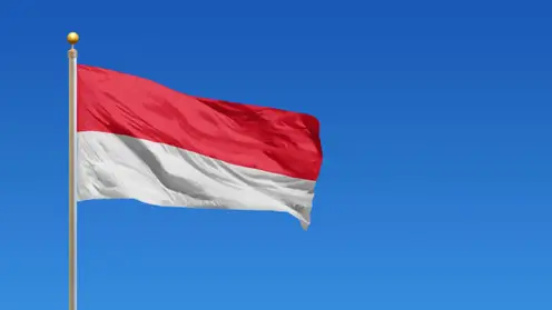 Индонезия может присоединиться к блоку БРИКС