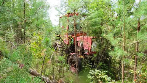 В Иркутской области подростки украли трактор