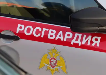 В Кузбассе мужчина на автомобиле протаранил ворота детского сада