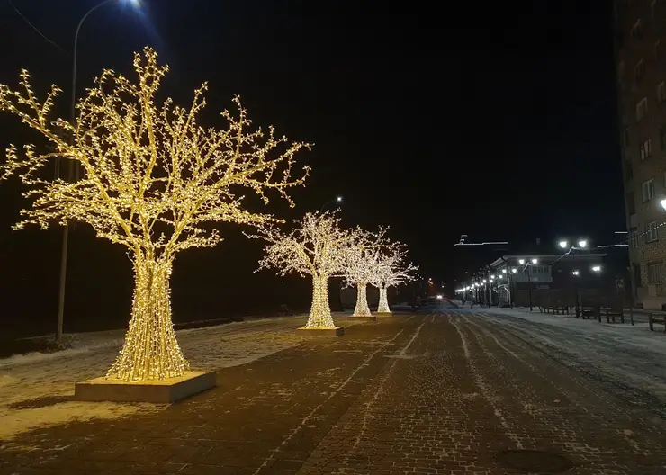 В Историческом квартале Красноярска зажглись световые деревья