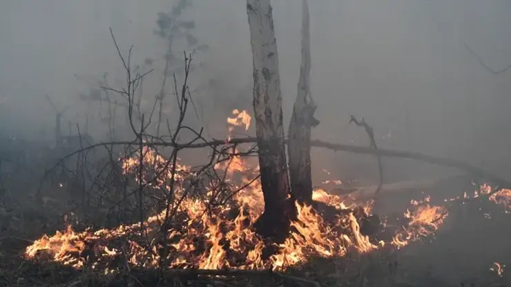 За сутки в Якутии потушили 19 лесных пожаров