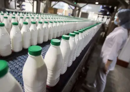 250 кг опасной молочки изъяли в Красноярском крае с начала 2022 года